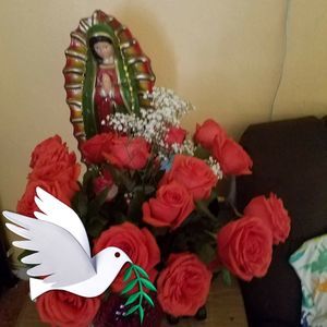 Meet your Posher, Sonia